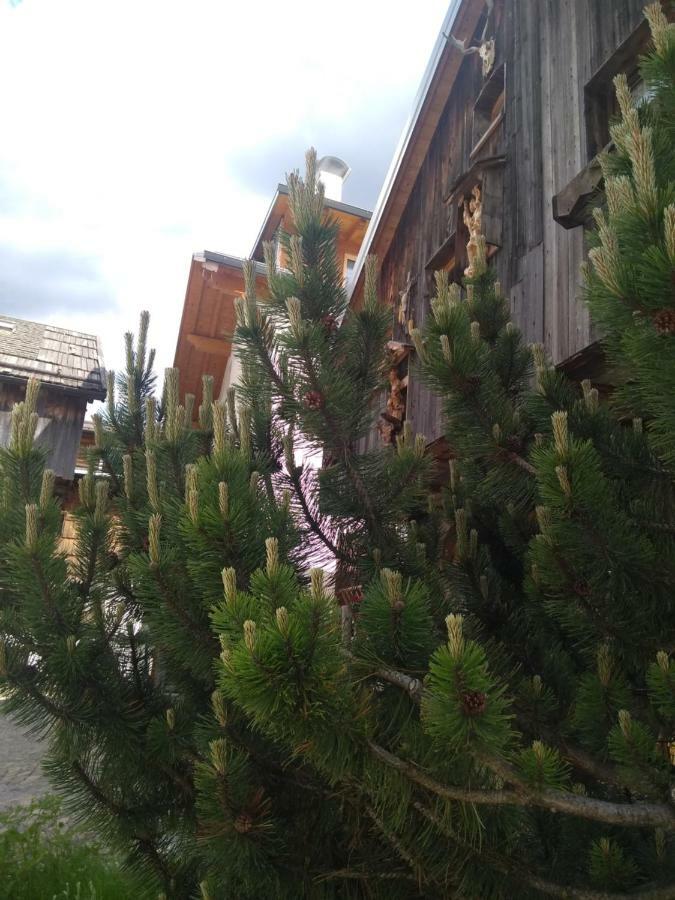Cianbolpin Guesthouse 까나제이 외부 사진